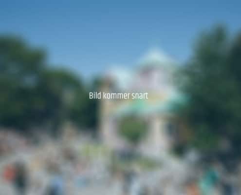 Bild kommer snart