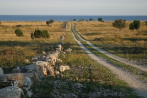 Gotland