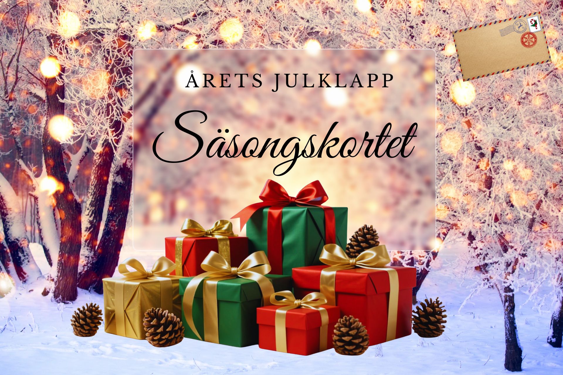 arets_julklapp_sasongskortet