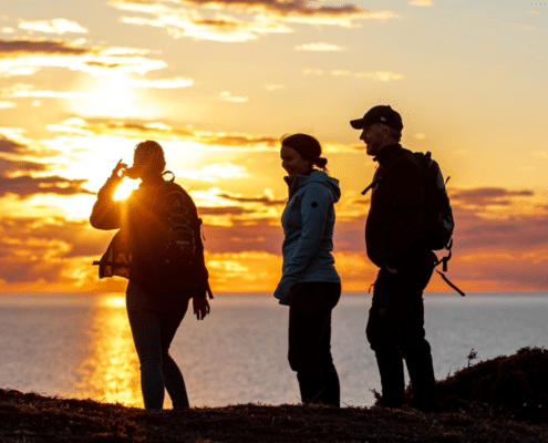 Vandra på Gotland – kuststig i solnedgång nära Visby