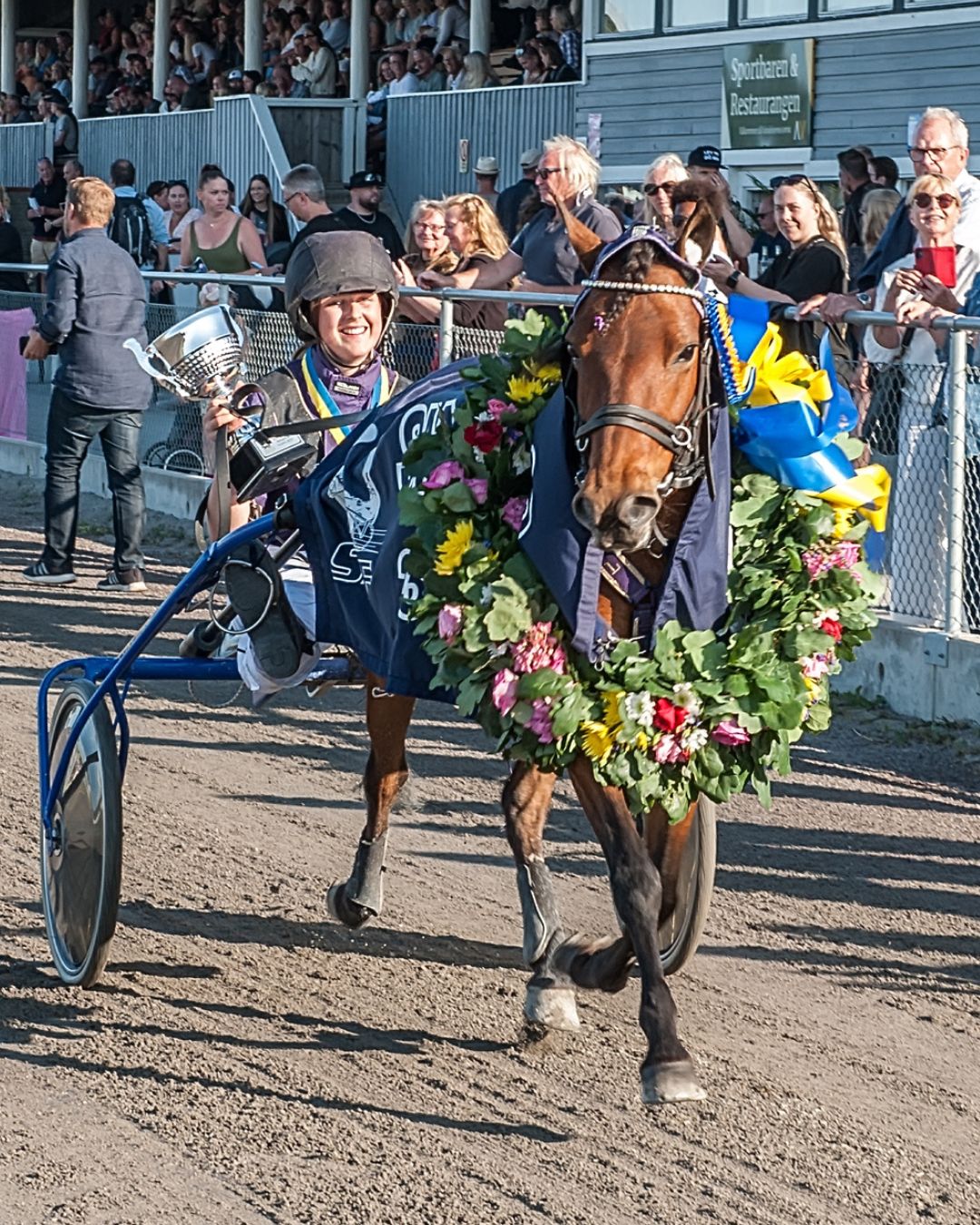 hast_gotland_guide_1080_1350