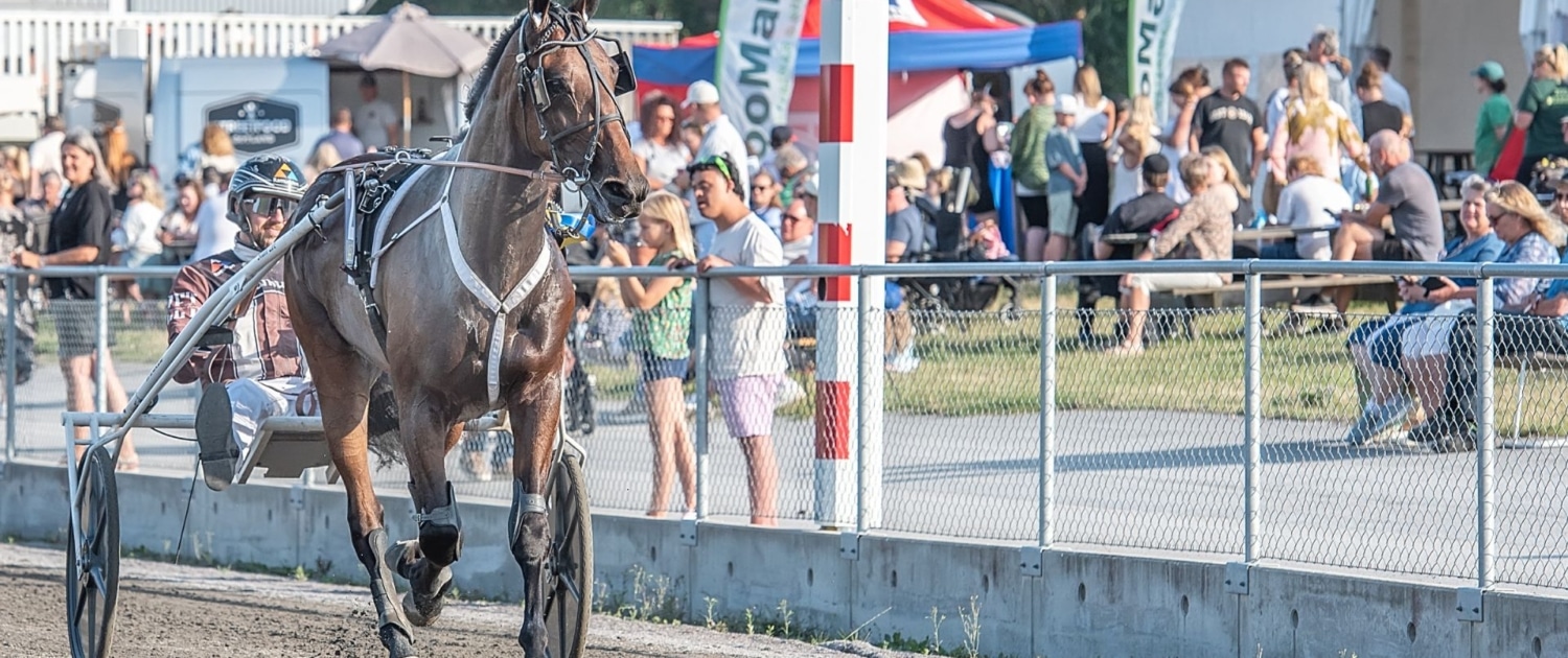 hast_gotland_guide_1920_1280