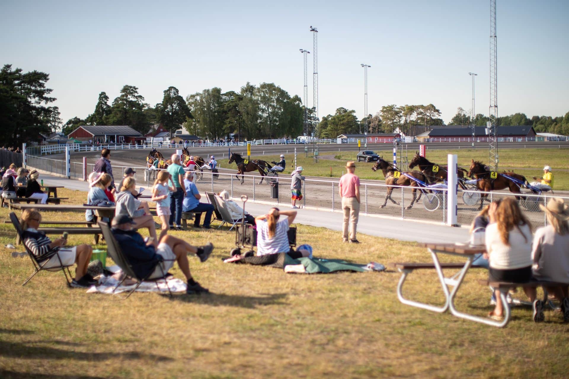 hast_gotland_guide_1920_1280_2